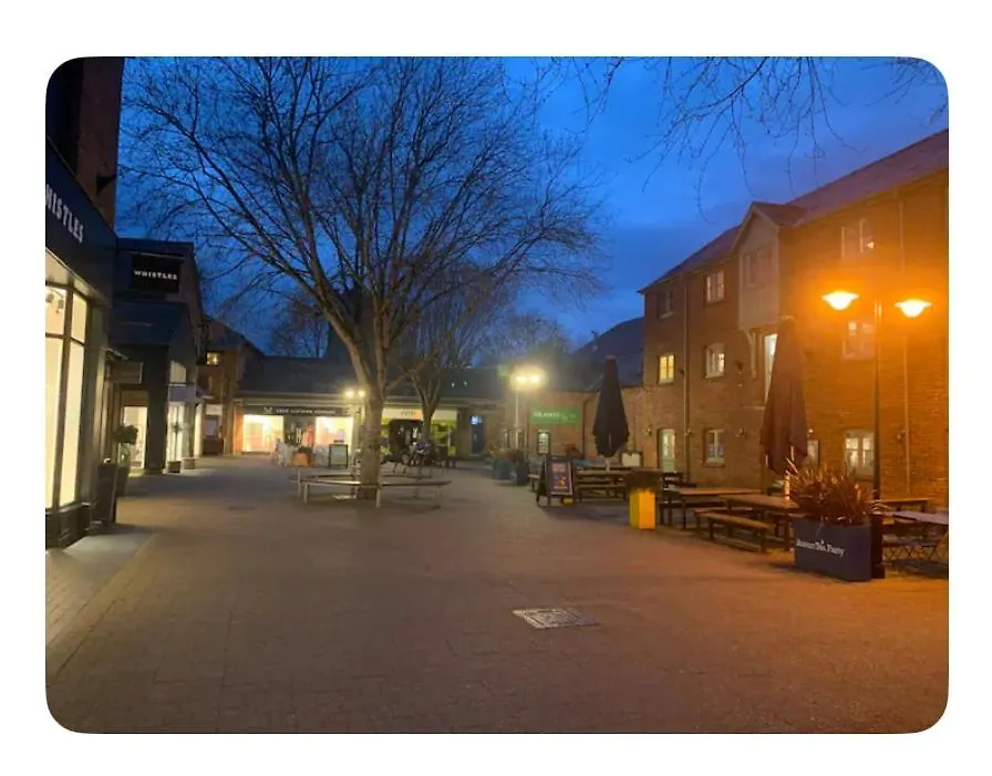 Selfcatering Coach House New Forest Dog Friendly Ringwood Holiday home
